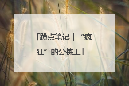蹲点笔记｜“疯狂”的分拣工