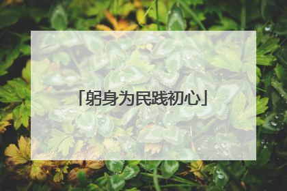躬身为民践初心