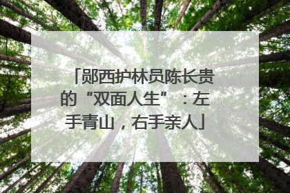 郧西护林员陈长贵的“双面人生”：左手青山，右手亲人