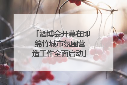 酒博会开幕在即 绵竹城市氛围营造工作全面启动