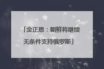 金正恩：朝鲜将继续无条件支持俄罗斯