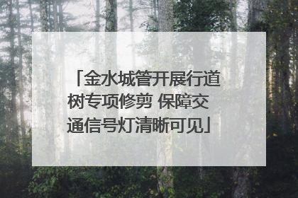 金水城管开展行道树专项修剪 保障交通信号灯清晰可见