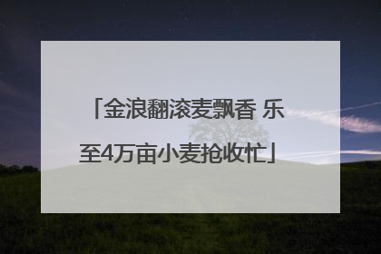 金浪翻滚麦飘香 乐至4万亩小麦抢收忙