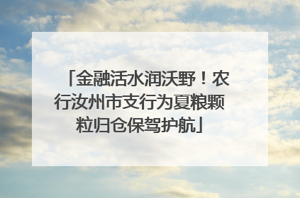 金融活水润沃野！农行汝州市支行为夏粮颗粒归仓保驾护航