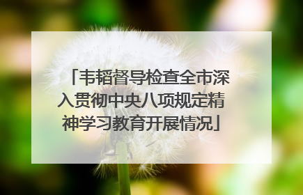 韦韬督导检查全市深入贯彻中央八项规定精神学习教育开展情况
