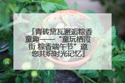 青砖黛瓦邂逅粽香童趣——“童玩栖霞街 粽香端午节”邀您共织时光记忆