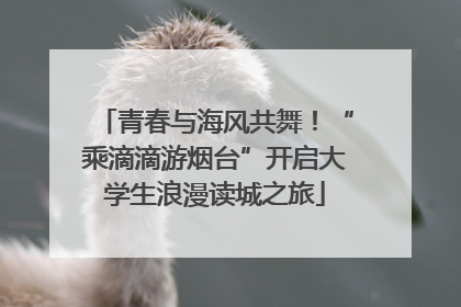 青春与海风共舞！“乘滴滴游烟台”开启大学生浪漫读城之旅