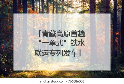 青藏高原首趟“一单式”铁水联运专列发车