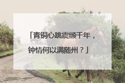 青铜心跳震颤千年，钟情何以满随州？