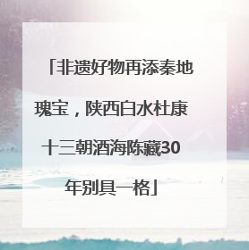 非遗好物再添秦地瑰宝，陕西白水杜康十三朝酒海陈藏30年别具一格