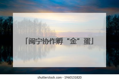 闽宁协作孵“金”蛋