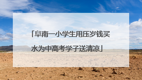 阜南一小学生用压岁钱买水为中高考学子送清凉
