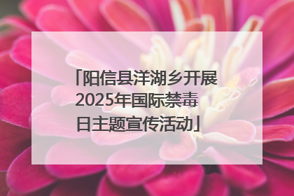 阳信县洋湖乡开展2025年国际禁毒日主题宣传活动