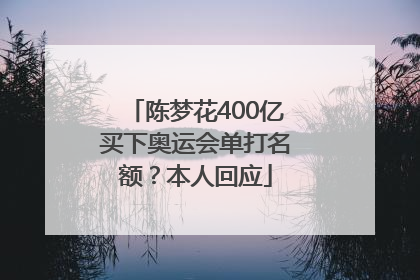 陈梦花400亿买下奥运会单打名额？本人回应
