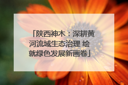 陕西神木：深耕黄河流域生态治理 绘就绿色发展新画卷