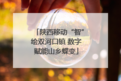 陕西移动“智”绘双河口镇 数字赋能山乡蝶变