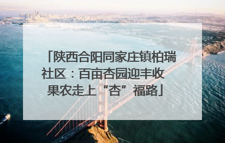 陕西合阳同家庄镇柏瑞社区：百亩杏园迎丰收 果农走上“杏”福路