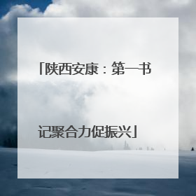 陕西安康：第一书记聚合力促振兴