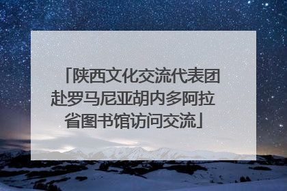 陕西文化交流代表团赴罗马尼亚胡内多阿拉省图书馆访问交流