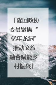 隆回政协委员聚焦“亿年龙洞” 推动文旅融合赋能乡村振兴