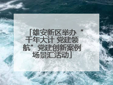 雄安新区举办“千年大计 党建领航”党建创新案例场景汇活动