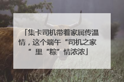 集卡司机带着家属传温情，这个端午“司机之家”里“粽”情浓浓
