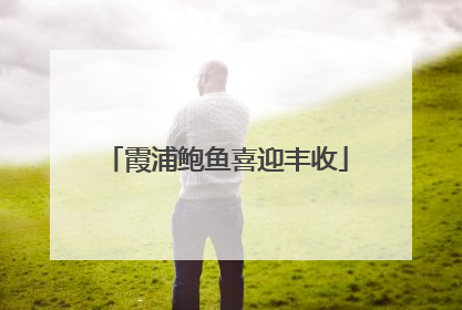 霞浦鲍鱼喜迎丰收