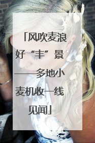 风吹麦浪好“丰”景——多地小麦机收一线见闻