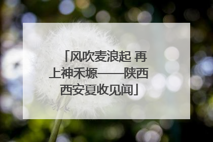 风吹麦浪起 再上神禾塬——陕西西安夏收见闻