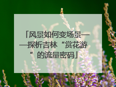 风景如何变场景——探析吉林“赏花游”的流量密码
