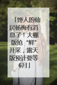 馋人的仙居杨梅有消息了！大棚版抢“鲜”开采，露天版预计要等6月