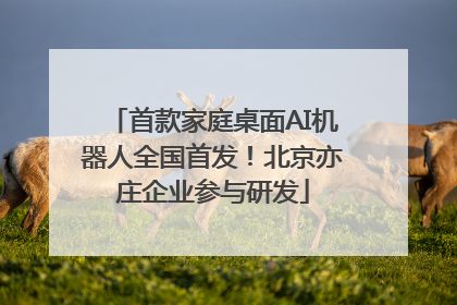 首款家庭桌面AI机器人全国首发！北京亦庄企业参与研发