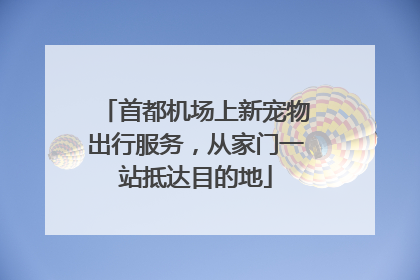 首都机场上新宠物出行服务，从家门一站抵达目的地