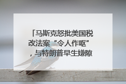 马斯克怒批美国税改法案“令人作呕”，与特朗普早生嫌隙？｜国际识局