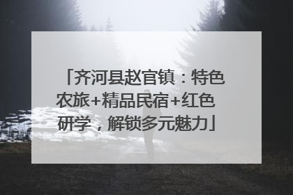 齐河县赵官镇：特色农旅+精品民宿+红色研学，解锁多元魅力