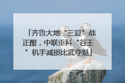 齐鲁大地“三夏”战正酣，中联重科“谷王”机手减损比武夺魁