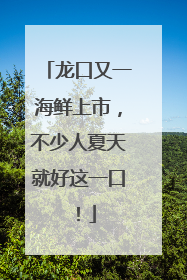 龙口又一海鲜上市，不少人夏天就好这一口！