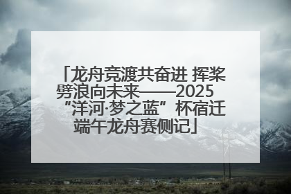 龙舟竞渡共奋进 挥桨劈浪向未来——2025“洋河·梦之蓝”杯宿迁端午龙舟赛侧记