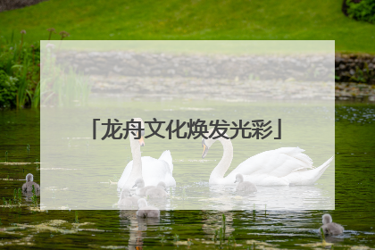 龙舟文化焕发光彩