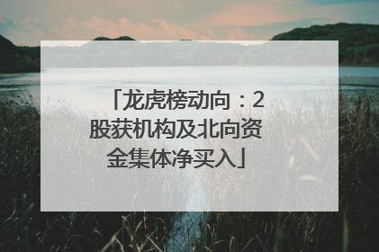 龙虎榜动向：2股获机构及北向资金集体净买入