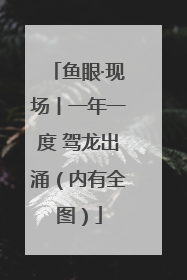 鱼眼·现场丨一年一度 驾龙出涌（内有全图）