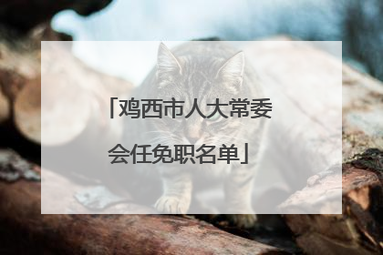 鸡西市人大常委会任免职名单