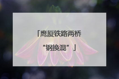 鹰厦铁路两桥“钢换混”