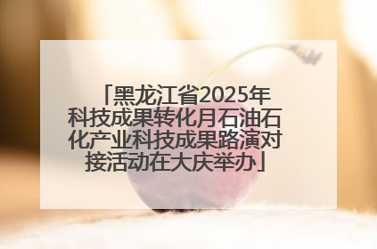 黑龙江省2025年科技成果转化月石油石化产业科技成果路演对接活动在大庆举办