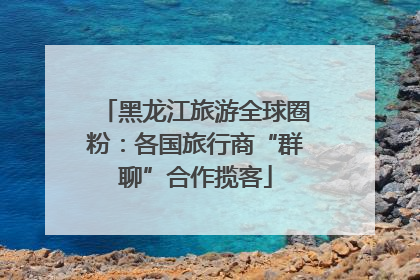 黑龙江旅游全球圈粉：各国旅行商“群聊”合作揽客