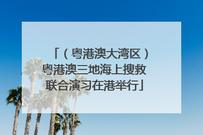 （粤港澳大湾区）粤港澳三地海上搜救联合演习在港举行