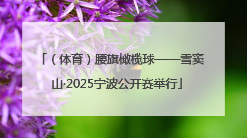 （体育）腰旗橄榄球——雪窦山·2025宁波公开赛举行