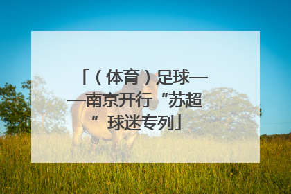 （体育）足球——南京开行“苏超”球迷专列