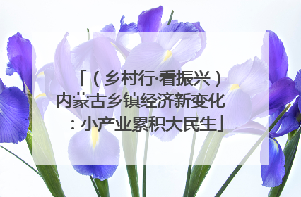 （乡村行·看振兴）内蒙古乡镇经济新变化：小产业累积大民生