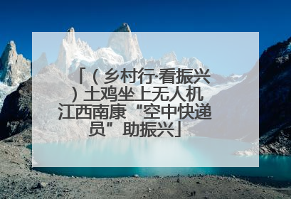 （乡村行·看振兴）土鸡坐上无人机 江西南康“空中快递员”助振兴